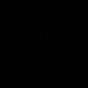 Meet your Posher, Evelyn